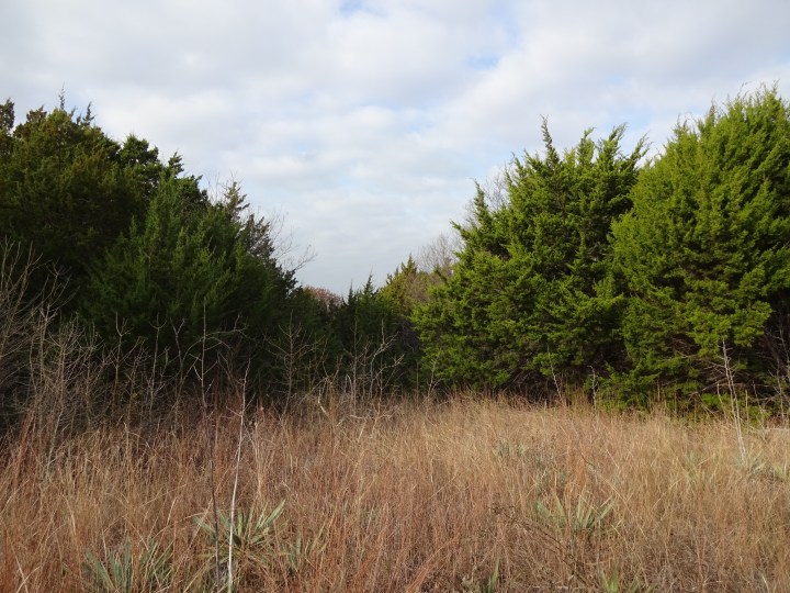 Alexa’s Guide to Winter&nbsp;Travel