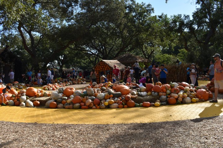 A Wonderful Day in&nbsp;Oz